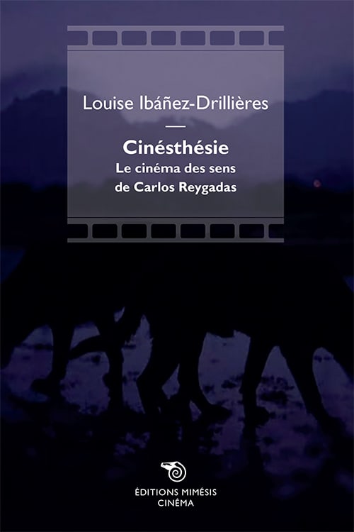 cinema-Drillieres-Cinesthesie